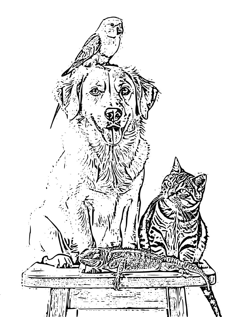 TAIL, FEATHER & PAW